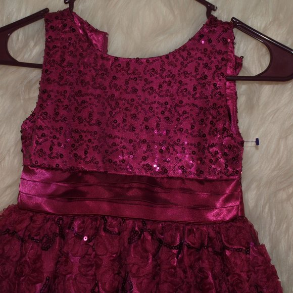 Girl's DRESS Pink With Sparkly Flower Detail SIZE 6 BY SPECIAL EDITIONS USEDONCE - Picture 2 of 5